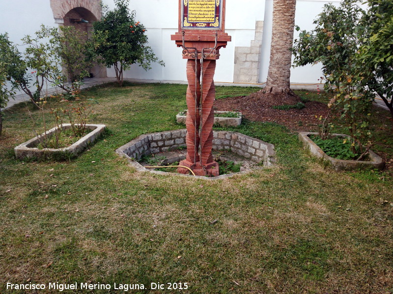 Real Hospicio de Pobres - Real Hospicio de Pobres. Tumbas utilizadas como jardineras en el Comps