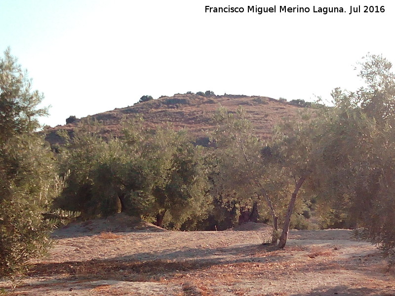 Oppidum Cerro Guinea - Oppidum Cerro Guinea. 