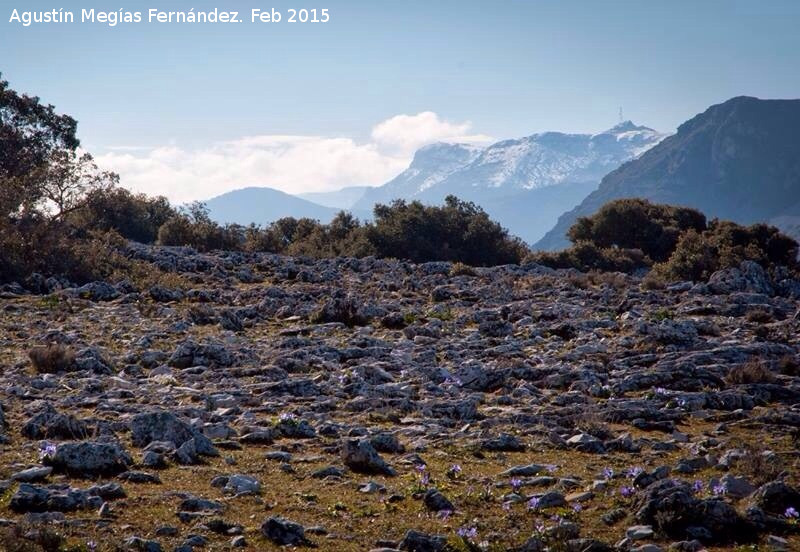 Cerro de los Morteros - Cerro de los Morteros. Lapiaz