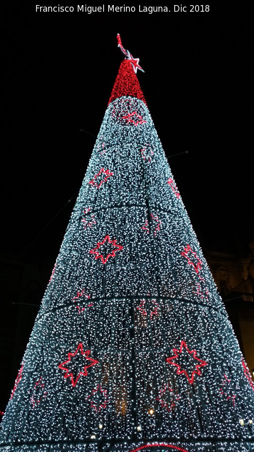 Palacio de la Diputacin - Palacio de la Diputacin. Iluminacin navidea