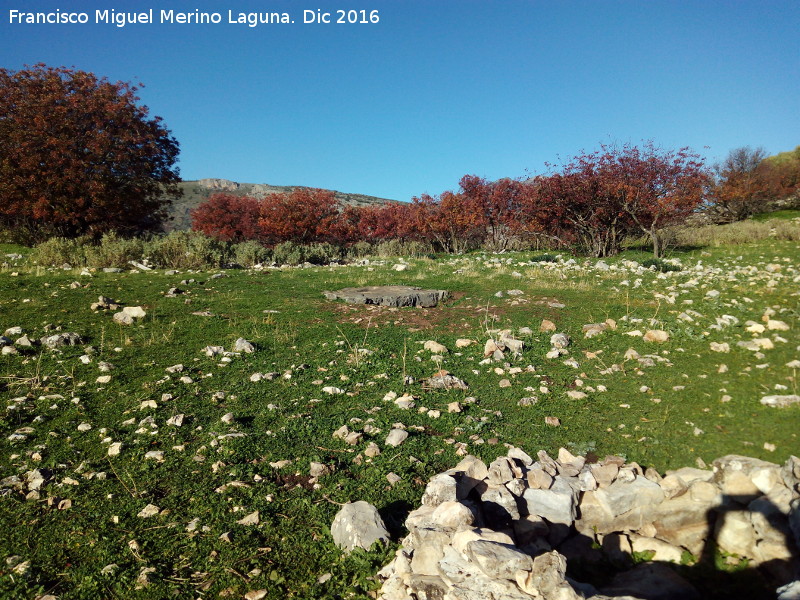 Dolmen del Collado de los Bastianes - Dolmen del Collado de los Bastianes. Dolmen con su crculo