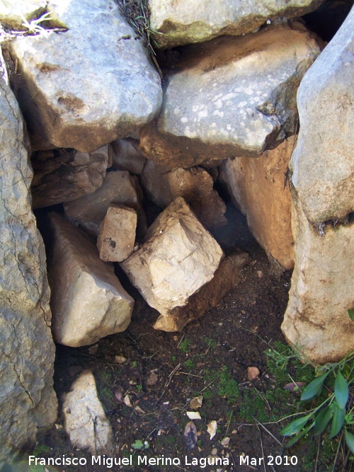 Dolmen del Collado de los Bastianes - Dolmen del Collado de los Bastianes. Pasillo