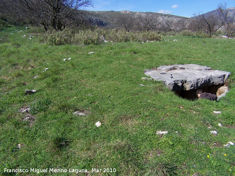 Dolmen del Collado de los Bastianes - Dolmen del Collado de los Bastianes. Crculo de piedras