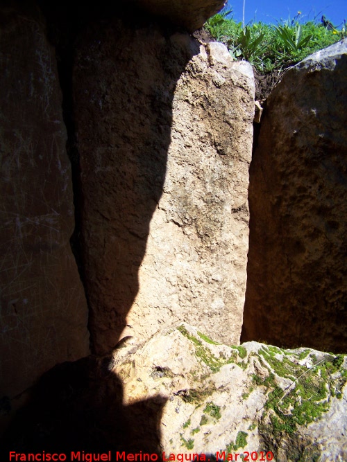 Dolmen del Collado de los Bastianes - Dolmen del Collado de los Bastianes. Piedra V