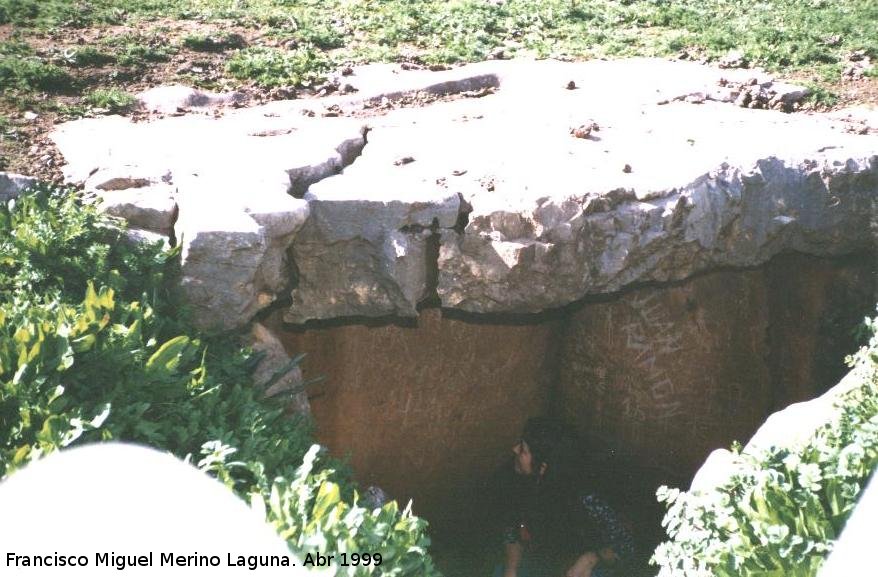 Dolmen del Collado de los Bastianes - Dolmen del Collado de los Bastianes. 