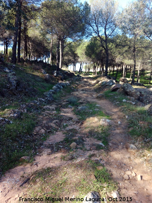 Calzada de San Lorenzo - Calzada de San Lorenzo. 