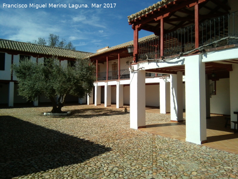 Olivo - Olivo. Santuario de la Encarnacin - Carrin de Calatrava