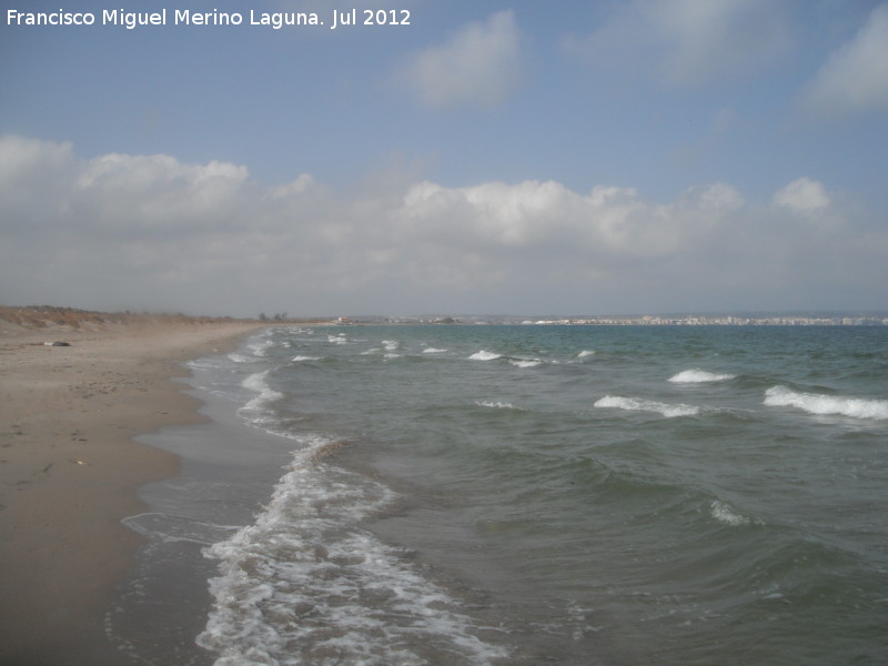 Playa del Pinet - Playa del Pinet. Al fondo Santa Pola