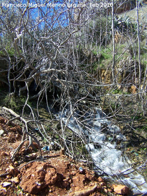 Lavadero de la Fuente de la Pea - Lavadero de la Fuente de la Pea. Nacimiento de agua ocasional