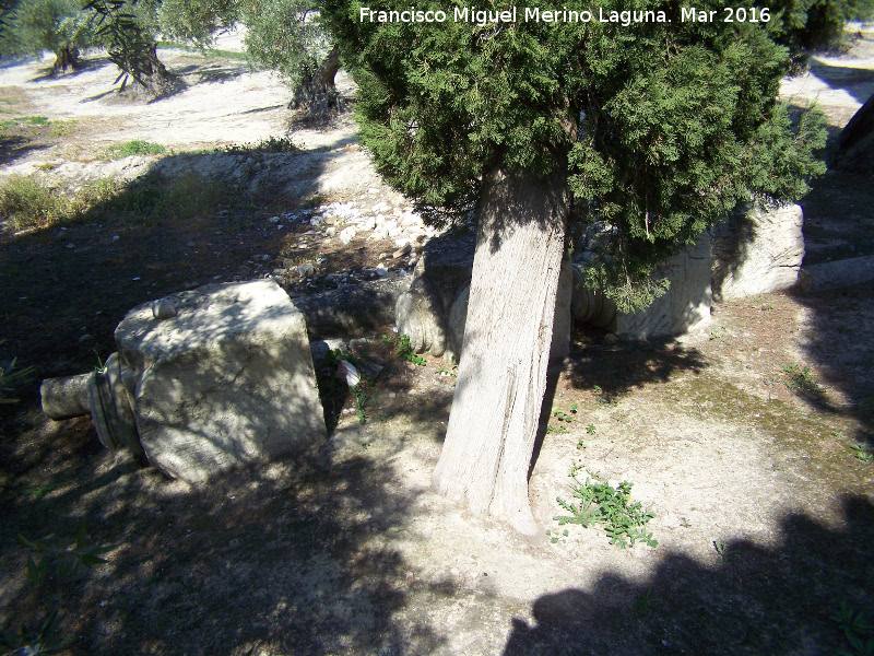 Antiguas Carniceras de San Francisco - Antiguas Carniceras de San Francisco. En el Cortijo San Rafael