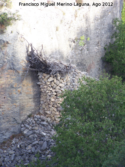 Muela de la Silleta - Muela de la Silleta. Rampa