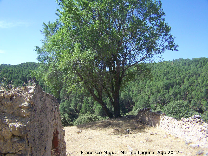 Aldea Los Goldines - Aldea Los Goldines. Patio