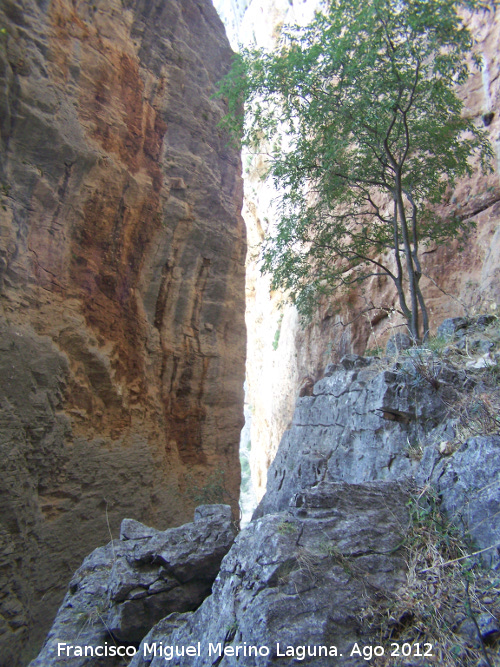 Paso de la Silleta - Paso de la Silleta. 