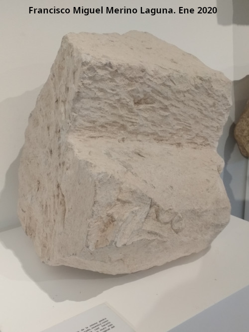 Palacio ibero del Cerro de la Merced - Palacio ibero del Cerro de la Merced. Sillar