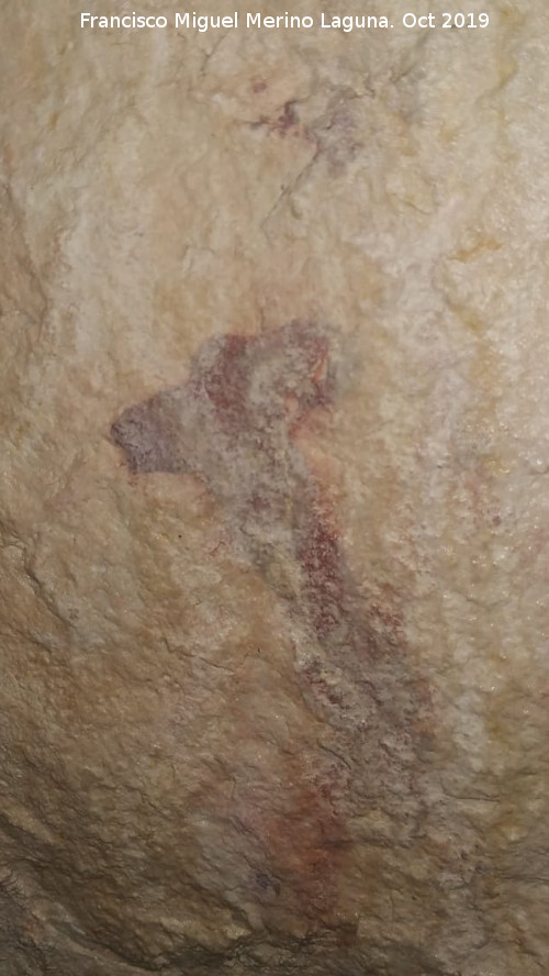 Pinturas rupestres de la Cueva del Canjorro I - Pinturas rupestres de la Cueva del Canjorro I. 
