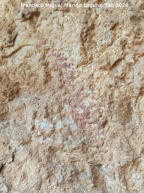 Pinturas rupestres Abrigo Este de las Pe�as de Castro III - Pinturas rupestres Abrigo Este de las Pe�as de Castro III. Barra