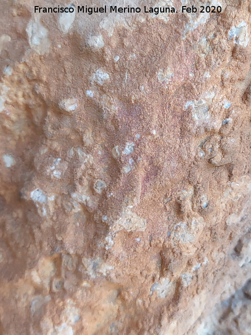 Pinturas rupestres Abrigo Este de las Pe�as de Castro III - Pinturas rupestres Abrigo Este de las Pe�as de Castro III. Mancha