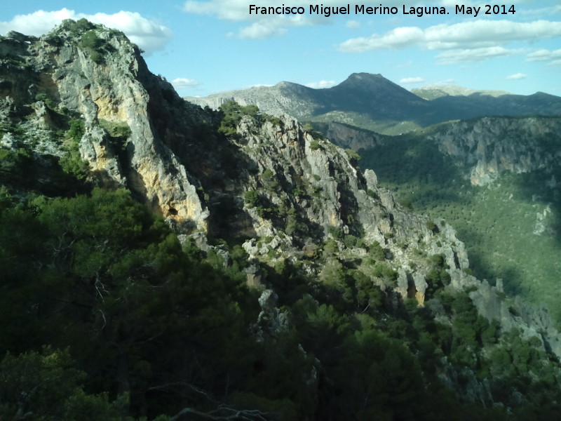 Rinconada de los Acebuches - Rinconada de los Acebuches. 