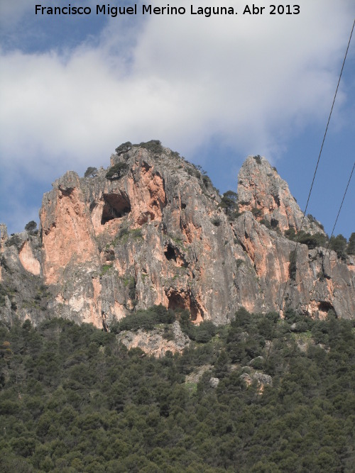 Rinconada de los Acebuches - Rinconada de los Acebuches. 