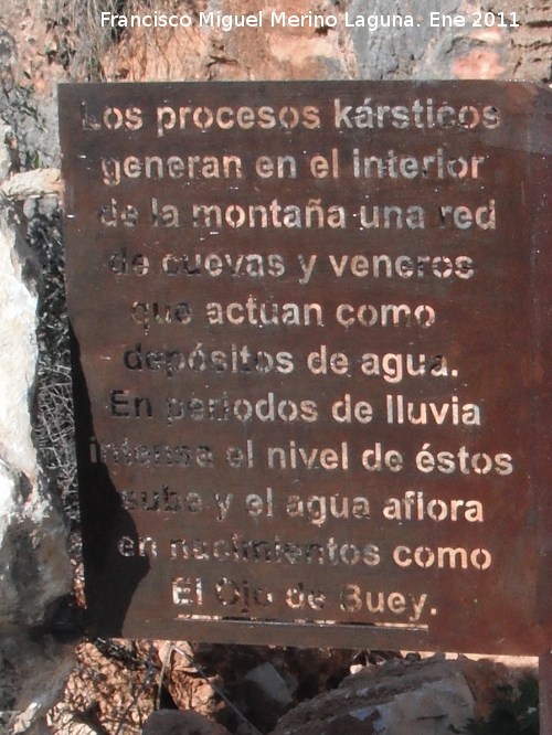 Ojo del Buey - Ojo del Buey. Placa