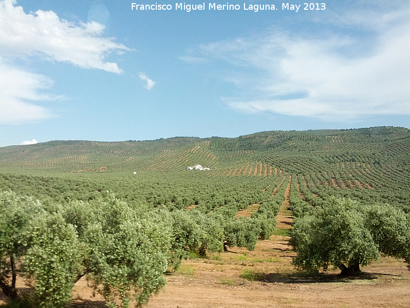 Cortijo de las Quebradas - Cortijo de las Quebradas. 