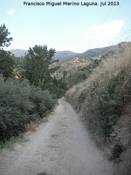 Camino de los Molinos - Camino de los Molinos. 