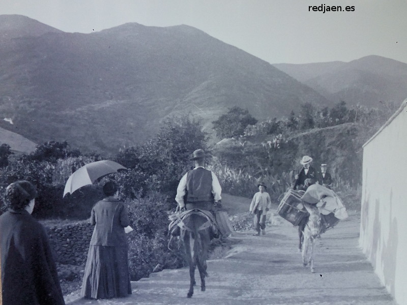 Camino Viejo de Jan a Los Villares - Camino Viejo de Jan a Los Villares. Foto antigua. Fotografa de Antonio Linares Arcos