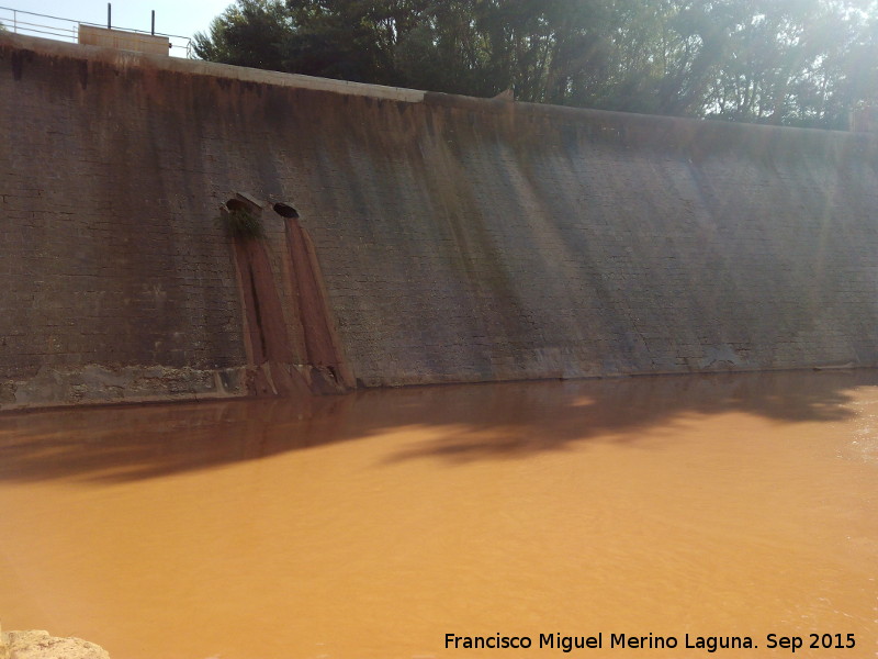 Pantano del Salto de Olvera - Pantano del Salto de Olvera. Presa