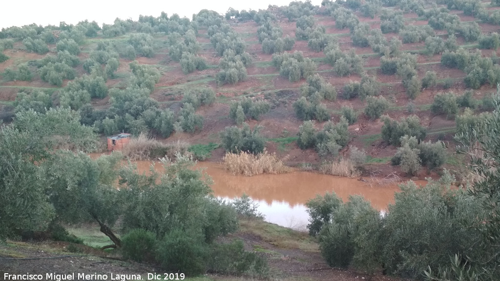 Charca de El Tostadero - Charca de El Tostadero. 