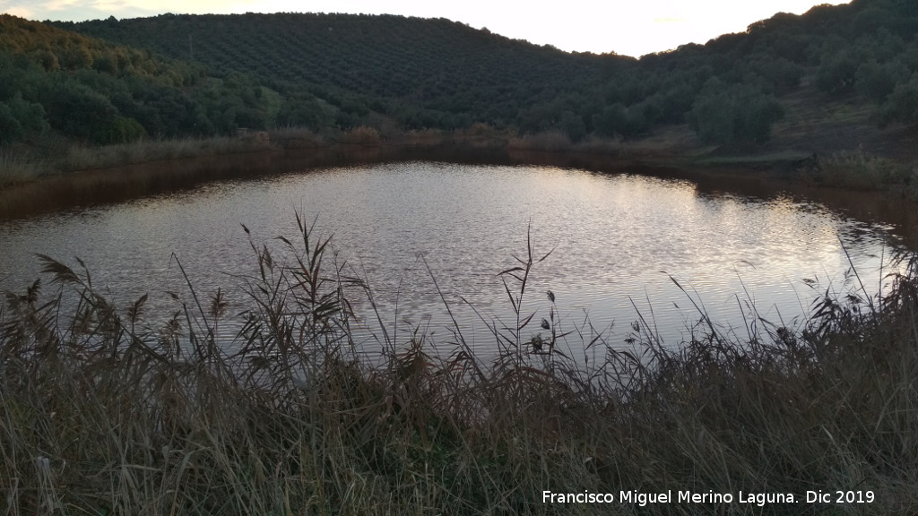 Charca de El Tostadero - Charca de El Tostadero. 