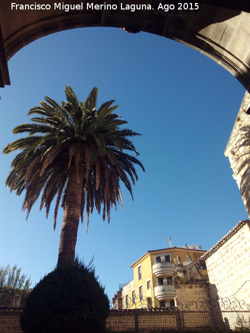 Convento de las Bernardas - Convento de las Bernardas. Palmera