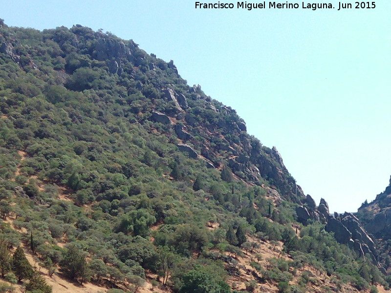 Cerro del Castillo - Cerro del Castillo. 