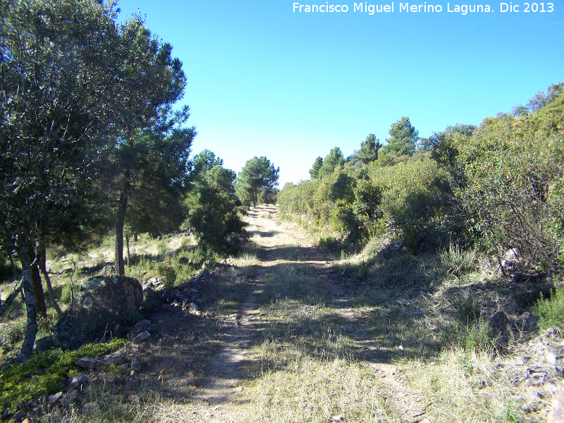 Loma de Torre Alver - Loma de Torre Alver. 