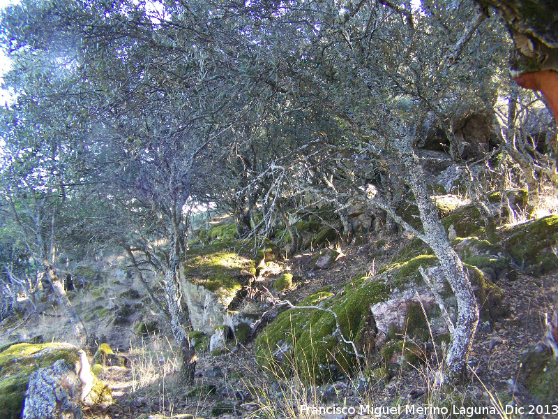 Loma de Torre Alver - Loma de Torre Alver. 