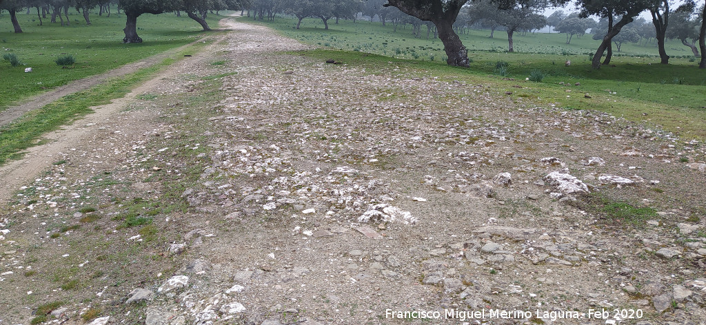 Camino Real Viejo - Camino Real Viejo. 