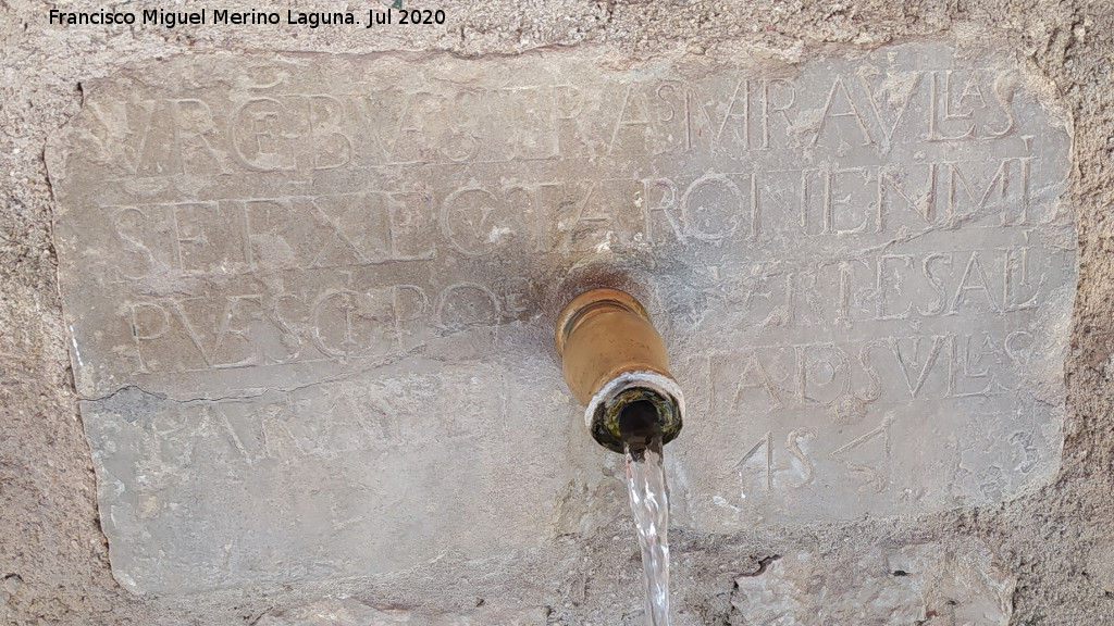 Fuente Milagrosa - Fuente Milagrosa. Ca�o e inscripci�n