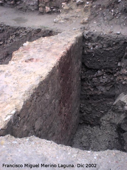 Muralla de Jan. Lienzo continuacin de la Puerta de Martos - Muralla de Jan. Lienzo continuacin de la Puerta de Martos. Intramuros