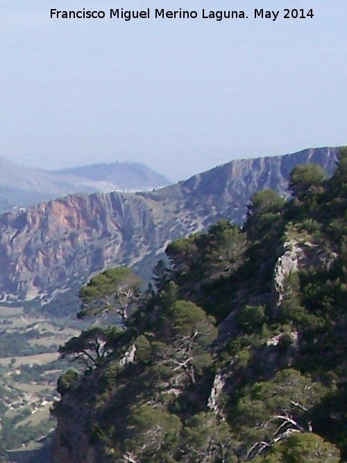 Puerto de la Brincola - Puerto de la Brincola. 