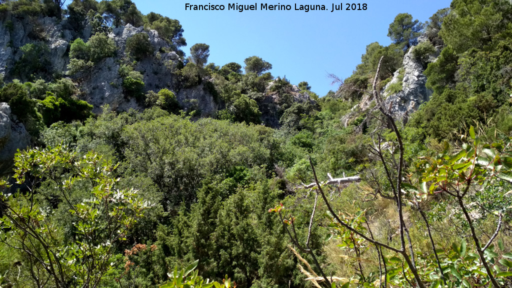 Barranco de los Corzos - Barranco de los Corzos. Parte alta del barranco