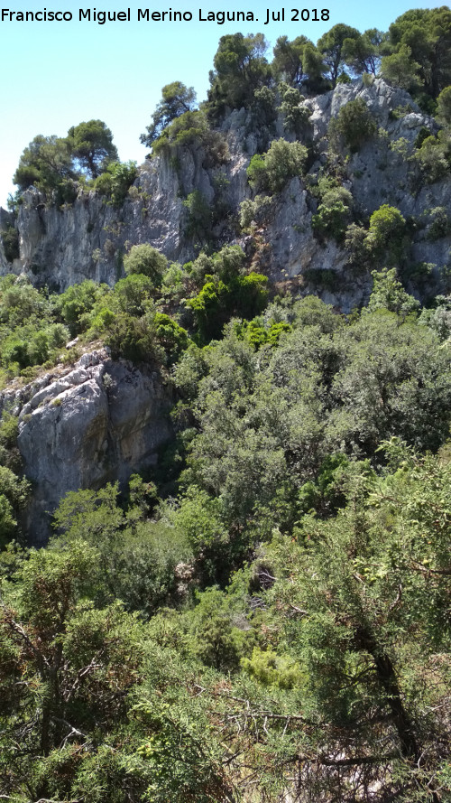 Barranco de los Corzos - Barranco de los Corzos. Paredes