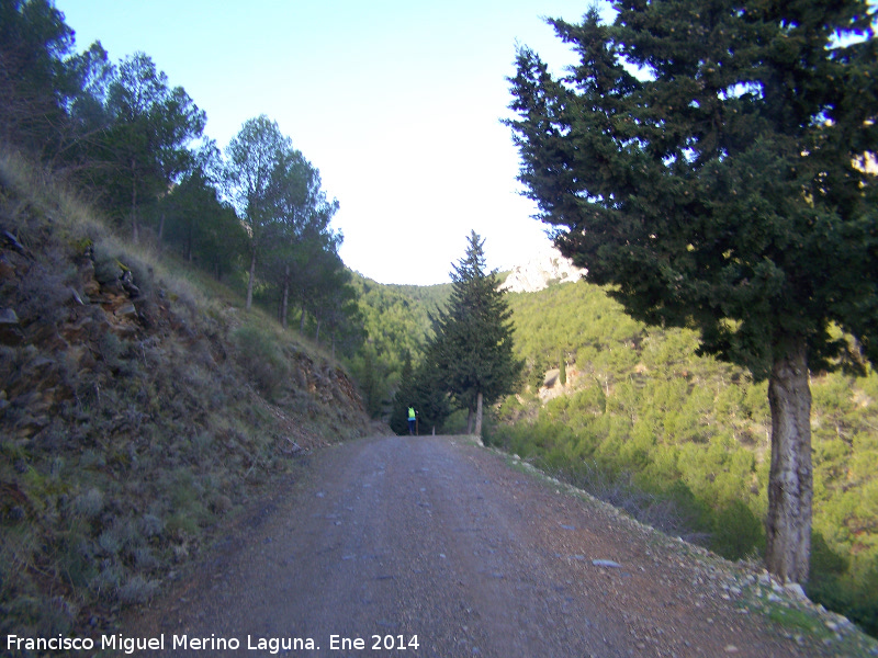 Camino del Pico Jabalcuz - Camino del Pico Jabalcuz. 