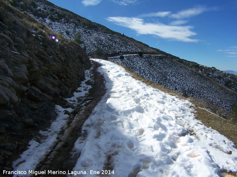 Camino del Pico Jabalcuz - Camino del Pico Jabalcuz. 