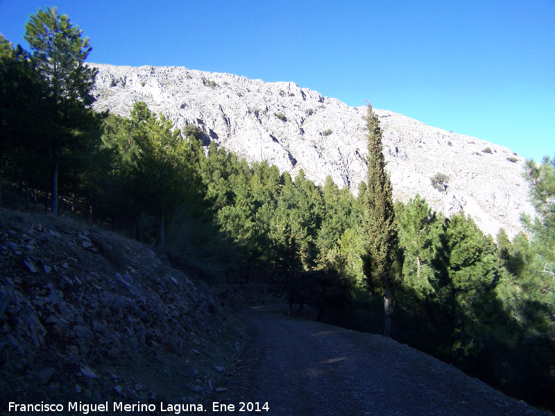 Camino del Pico Jabalcuz - Camino del Pico Jabalcuz. 