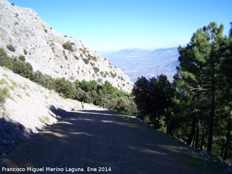 Camino del Pico Jabalcuz - Camino del Pico Jabalcuz. 