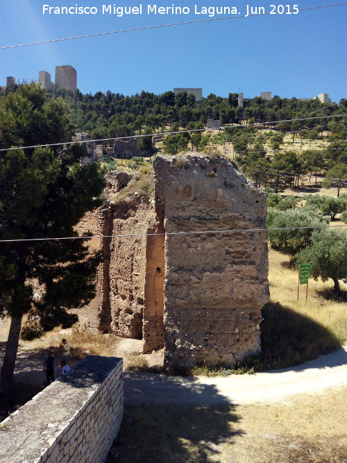 Muralla de Jan. Puerta de la Llana - Muralla de Jan. Puerta de la Llana. 