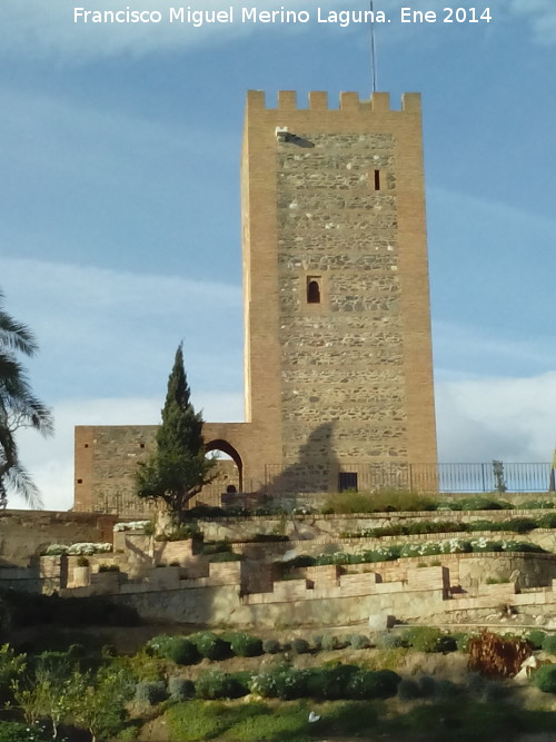 Alcazaba. Torre del Homenaje - Alcazaba. Torre del Homenaje. 