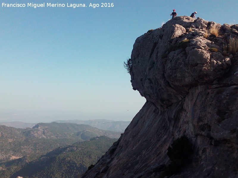 Blanquillo - Blanquillo. 