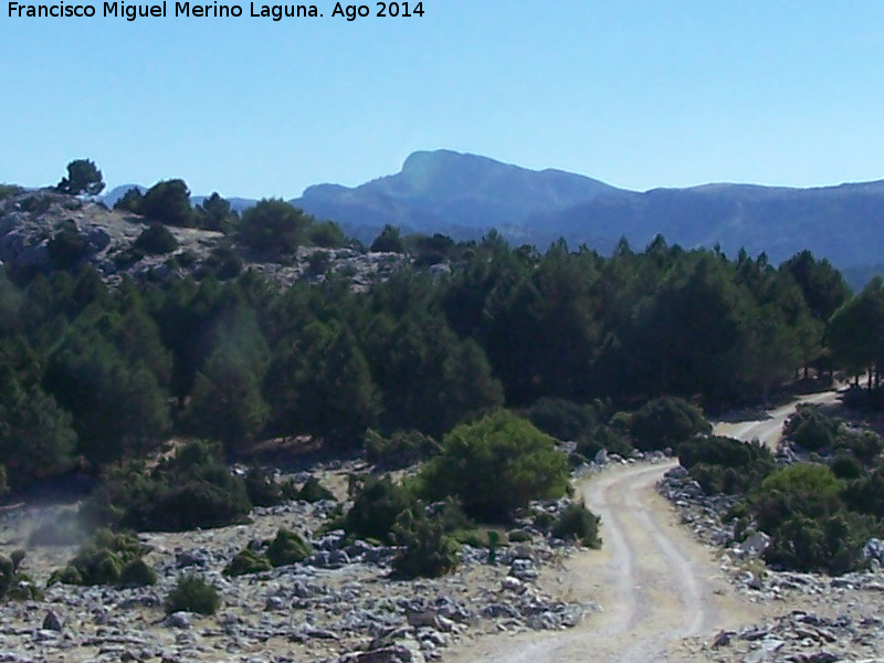 Blanquillo - Blanquillo. Desde Navazalto