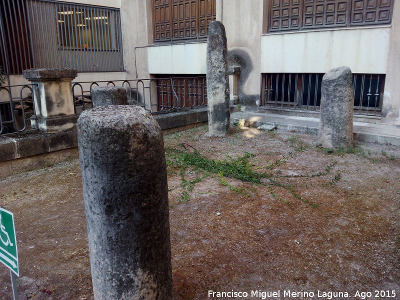 Museo Provincial - Museo Provincial. Columnas en la lonja