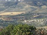 Casera de los Naranjos. Con su camino de cipreses, desde el Castillo Calar